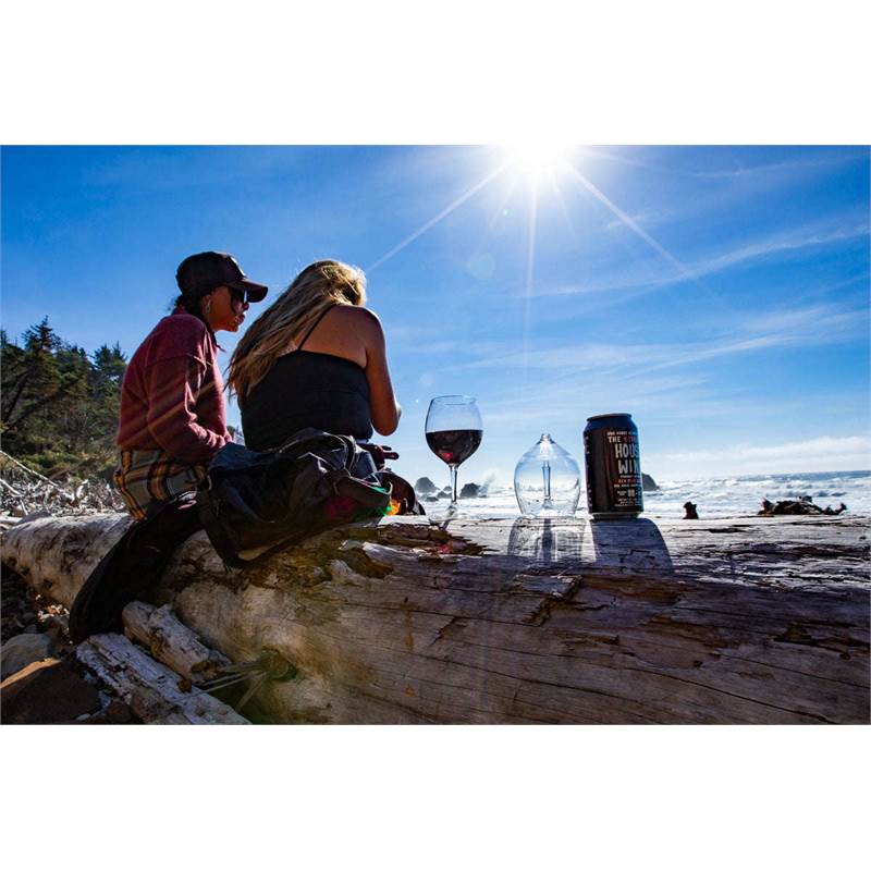 GSI Outdoors Nesting Red Wine Glass Set-4